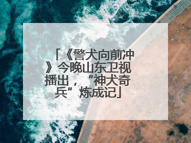 《警犬向前冲》今晚山东卫视播出，“神犬奇兵”炼成记
