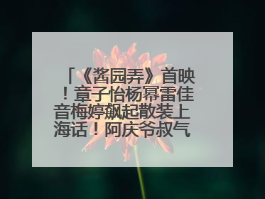 《酱园弄》首映！章子怡杨幂雷佳音梅婷飙起散装上海话！阿庆爷叔气氛组！独独没见他……