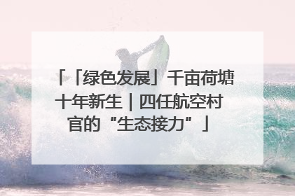「绿色发展」千亩荷塘 十年新生｜四任航空村官的“生态接力”