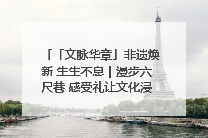 「文脉华章」非遗焕新 生生不息｜漫步六尺巷 感受礼让文化浸润的“巷”往生活