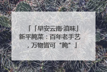 「早安云南·滇味」新平腌菜：百年老手艺，万物皆可“腌”