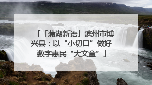 「蒲湖新语」滨州市博兴县：以“小切口”做好数字惠民“大文章”