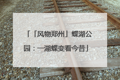 「风物郑州」蝶湖公园：一湖蝶变看今昔