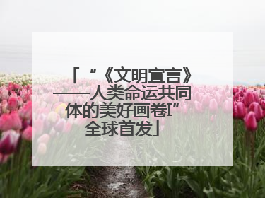 “《文明宣言》——人类命运共同体的美好画卷I”全球首发