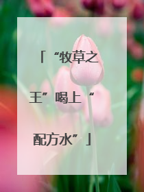 “牧草之王”喝上“配方水”