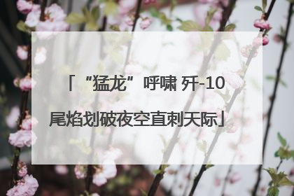 “猛龙”呼啸 歼-10尾焰划破夜空直刺天际