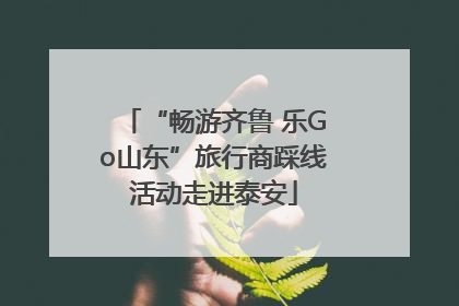 “畅游齐鲁 乐Go山东”旅行商踩线活动走进泰安