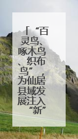 “百灵鸟、啄木鸟、织布鸟”，为仙居县域发展注入“新”动能