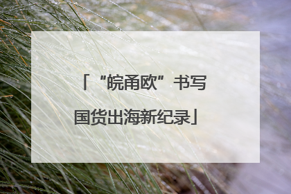 “皖甬欧”书写国货出海新纪录