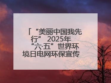 “美丽中国我先行” 2025年“六·五”世界环境日电网环保宣传系列活动——多场景联动，共筑生态发展新图景