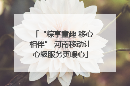 “粽享童趣 移心相伴” 河南移动让心级服务更暖心