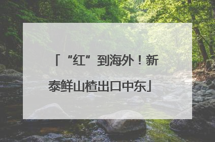 “红”到海外！新泰鲜山楂出口中东