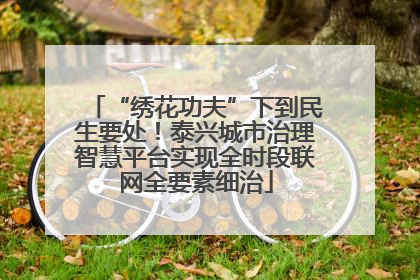 “绣花功夫”下到民生要处！泰兴城市治理智慧平台实现全时段联网全要素细治