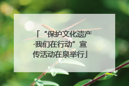“保护文化遗产·我们在行动”宣传活动在泉举行