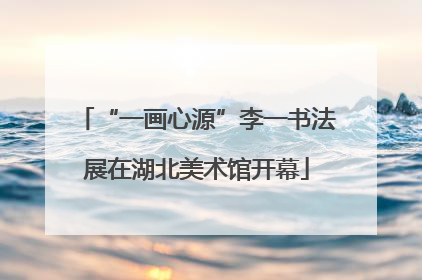 “一画心源”李一书法展在湖北美术馆开幕