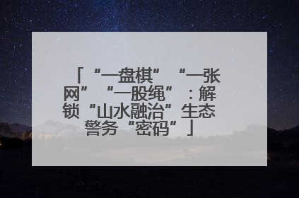 “一盘棋”“一张网”“一股绳”：解锁“山水融治”生态警务“密码”