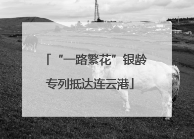 “一路繁花”银龄专列抵达连云港