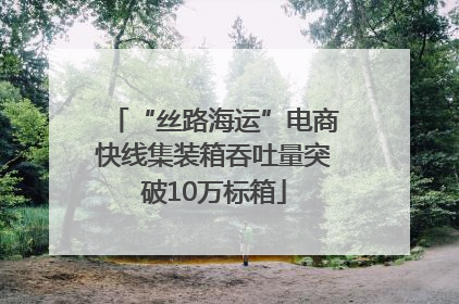 “丝路海运”电商快线集装箱吞吐量突破10万标箱
