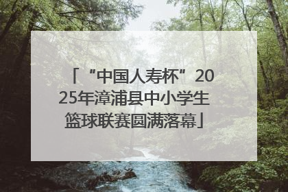 “中国人寿杯”2025年漳浦县中小学生篮球联赛圆满落幕