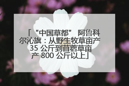 “中国草都” 阿鲁科尔沁旗：从野生牧草亩产 35 公斤到苜蓿草亩产 800 公斤以上