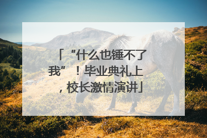 “什么也锤不了我”！毕业典礼上，校长激情演讲