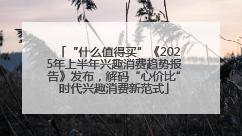 “什么值得买”《2025年上半年兴趣消费趋势报告》发布，解码“心价比”时代兴趣消费新范式