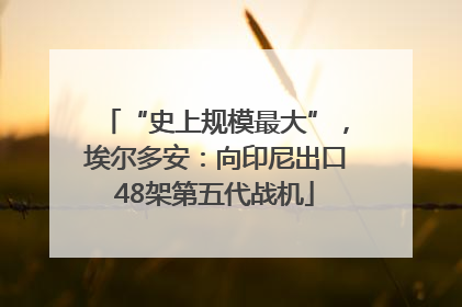 “史上规模最大”，埃尔多安：向印尼出口48架第五代战机