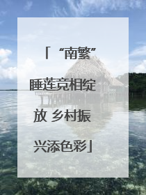 “南繁”睡莲竞相绽放 乡村振兴添色彩
