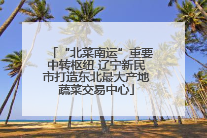“北菜南运”重要中转枢纽 辽宁新民市打造东北最大产地蔬菜交易中心