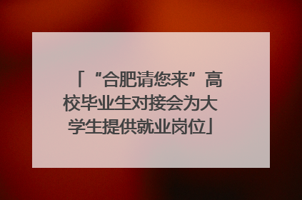 “合肥请您来”高校毕业生对接会为大学生提供就业岗位