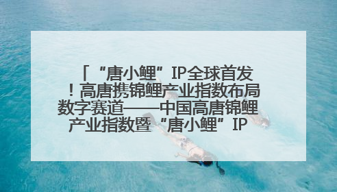 “唐小鲤”IP全球首发！高唐携锦鲤产业指数布局数字赛道——中国高唐锦鲤产业指数暨“唐小鲤”IP全球首发仪式在杭州举行