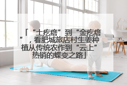 “土疙瘩”到“金疙瘩”，看肥城旅店村生姜种植从传统农作到“云上”热销的蝶变之路