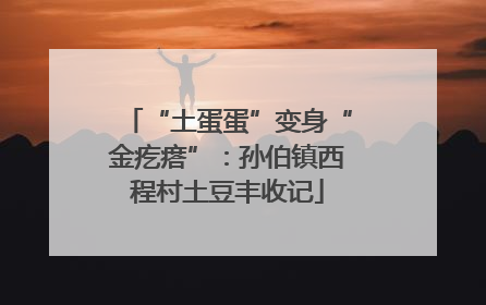 “土蛋蛋”变身“金疙瘩”：孙伯镇西程村土豆丰收记