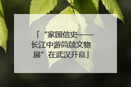 “家国信史——长江中游简牍文物展”在武汉开幕