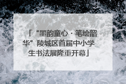 “墨韵童心・笔绘韶华”陵城区首届中小学生书法展隆重开幕