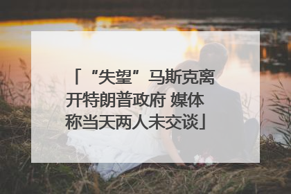 “失望”马斯克离开特朗普政府 媒体称当天两人未交谈