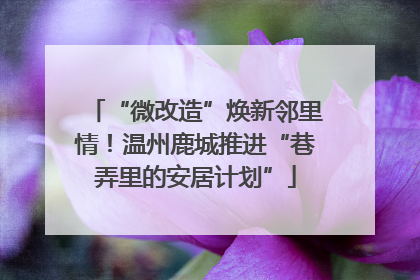 “微改造”焕新邻里情！温州鹿城推进“巷弄里的安居计划”