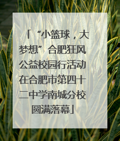“小篮球，大梦想”合肥狂风公益校园行活动在合肥市第四十二中学南城分校圆满落幕
