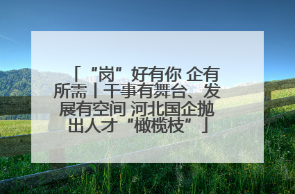 “岗”好有你 企有所需丨干事有舞台、发展有空间 河北国企抛出人才“橄榄枝”