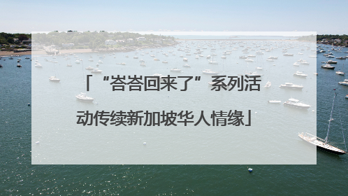 “峇峇回来了”系列活动传续新加坡华人情缘