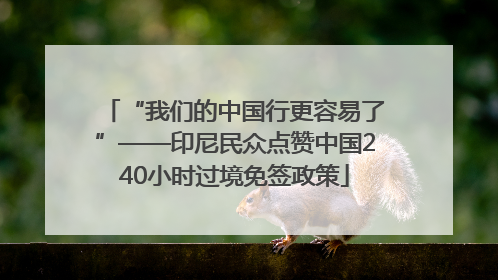 “我们的中国行更容易了”——印尼民众点赞中国240小时过境免签政策