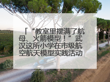 “教室里摆满了航母、火箭模型！”武汉这所小学在市级航空航天模型实践活动中获佳绩
