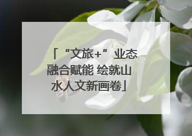 “文旅+”业态融合赋能 绘就山水人文新画卷