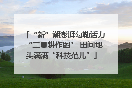 “新”潮澎湃勾勒活力“三夏耕作图” 田间地头满满“科技范儿”