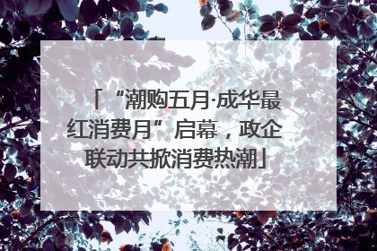 “潮购五月·成华最红消费月”启幕，政企联动共掀消费热潮