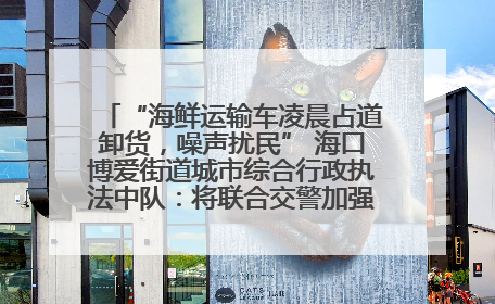 “海鲜运输车凌晨占道卸货，噪声扰民” 海口博爱街道城市综合行政执法中队：将联合交警加强长堤路一带巡逻
