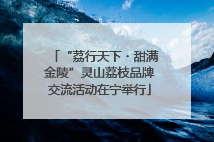 “荔行天下・甜满金陵”灵山荔枝品牌交流活动在宁举行