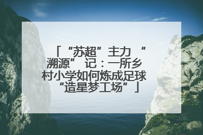“苏超”主力 “溯源” 记：一所乡村小学如何炼成足球 “造星梦工场”