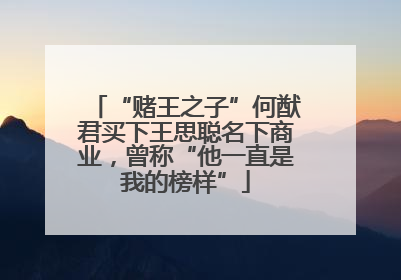 “赌王之子”何猷君买下王思聪名下商业，曾称“他一直是我的榜样”