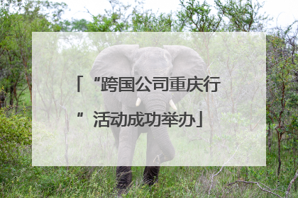 “跨国公司重庆行”活动成功举办